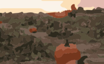 Image of field with pumpkins in sunset traced in Illustrator.