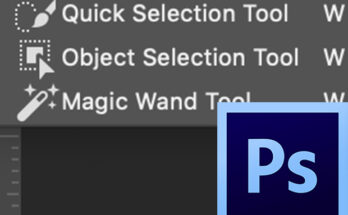 View of the Object Selection Tool in the toolbar