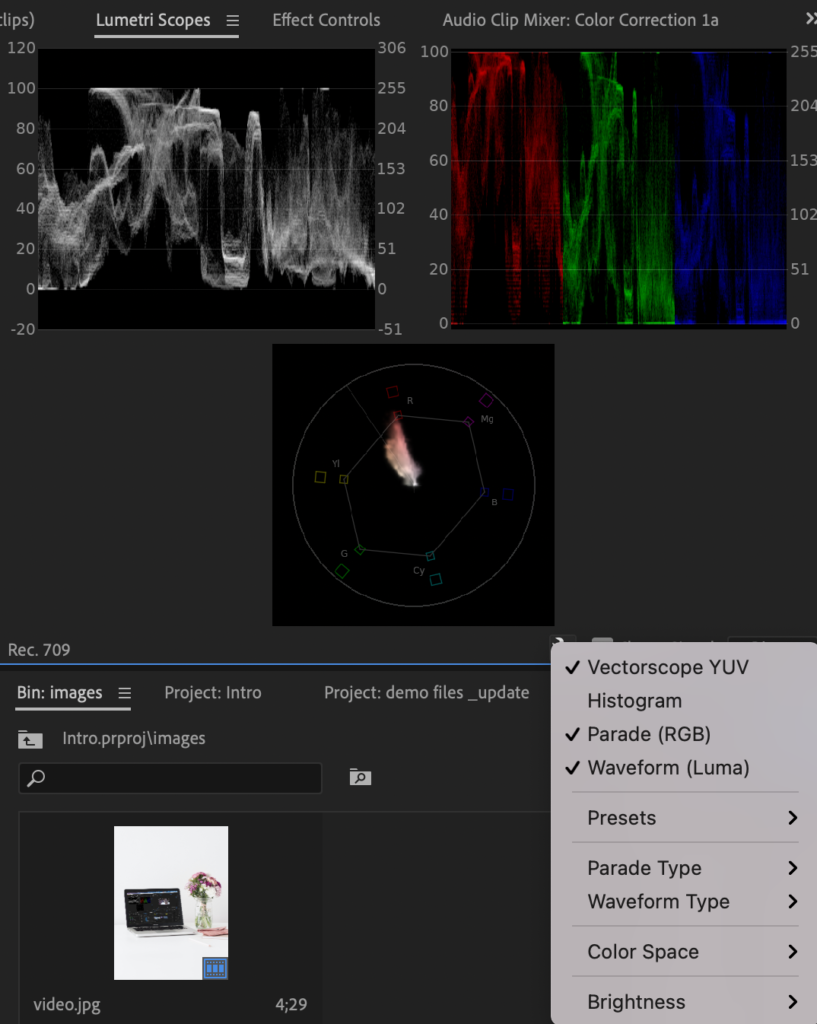 Image of Lumetri Color scopes to have open