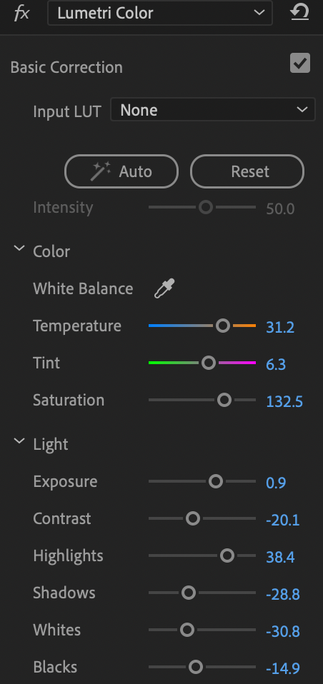 Image of basic correction options window