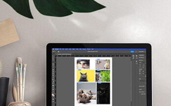 Image of laptop on a table with Indesign grid on screen.