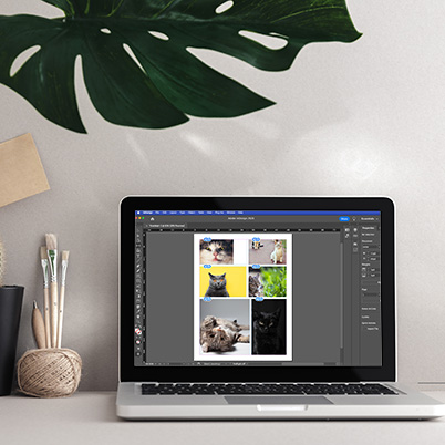 Image of laptop on a table with Indesign grid on screen.